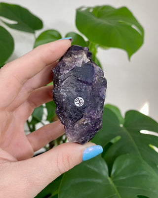 Múzquiz Fluorite from Esperanza Mine, Múzquiz, Mexico from Curious Muse Crystals Tagged with Crystal healing, fluorite, genuine crystal, hide-notify-btn, muzquiz fluorite, natural mineral, purple, raw mineral, reiki crystal, uv reactive