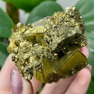 Siderite with Chalcopyrite from Kaiwu Mine, China from Curious Muse Crystals Tagged with brown, chalcopyrite, hide-notify-btn, raw mineral, siderite, yellow