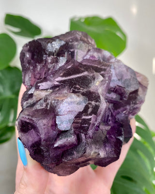 Múzquiz Fluorite with Unique Phantoms from Muzquiz, Mexico from Curious Muse Crystals Tagged with fluorescence, fluorite, hide-notify-btn, mexico, muzquiz fluorite, purple, raw crystal, uv reactive