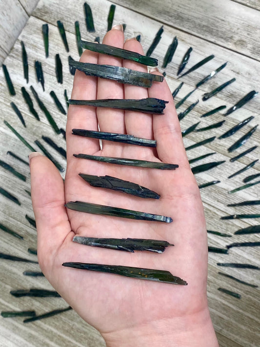 Vivianite Blades - Spiritual Awareness from Curious Muse Crystals for 8.0. Tagged with collector grade, fine mienral, genuine mineral, green blue crystal, high end mineral, natural crystal, raw mineral, raw specimen, raw vivianite, reiki work, vivianite
