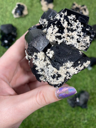 Erongo Black Tourmaline Raw Cluster | High Grade from Curious Muse Crystals for 146. Tagged with black, Erongo, fine mineral, hide-notify-btn, Namibia, raw, tourmaline