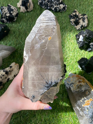 Quartz with Tourmaline from Madagascar - High Grade Collector Mineral from Curious Muse Crystals for 185. Tagged with black, clear, clear quartz, crystal energy, fine mineral, hide-notify-btn, inclusion quartz, Madagascar, quartz, reiki healing, tourmaline