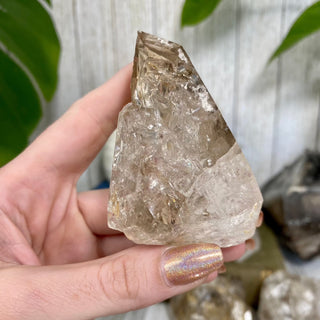 Fenster Quartz from Mexico - Self-Discovery from Curious Muse Crystals Tagged with clear, elestial, enhydro, fenster quartz, fluid inclusion, hide-notify-btn, mexico, quartz, yellow