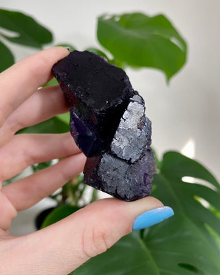 Múzquiz Fluorite from Esperanza Mine, Múzquiz, Mexico from Curious Muse Crystals Tagged with Crystal healing, fluorite, genuine crystal, hide-notify-btn, muzquiz fluorite, natural mineral, purple, raw mineral, reiki crystal, uv reactive