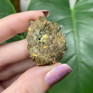 Siderite with Chalcopyrite from Kaiwu Mine, China from Curious Muse Crystals for 29. Tagged with brown, chalcopyrite, hide-notify-btn, raw mineral, siderite, yellow
