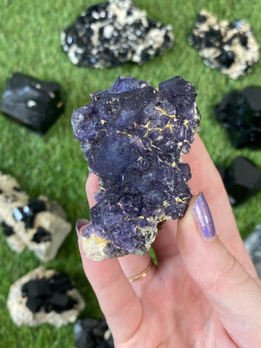 Erongo Fluorite with Tourmaline - High Grade from Curious Muse Crystals for 145. Tagged with black, erongo, fine mineral, fluorite, hide-notify-btn, namibia, purple, raw, tourmaline