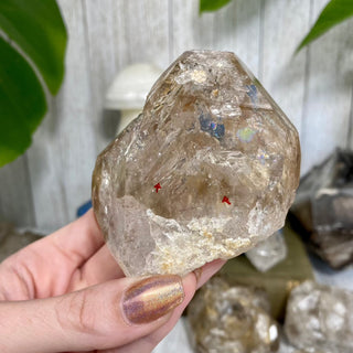 Fenster Quartz from Mexico - Self-Discovery from Curious Muse Crystals Tagged with clear, elestial, enhydro, fenster quartz, fluid inclusion, hide-notify-btn, mexico, quartz, yellow