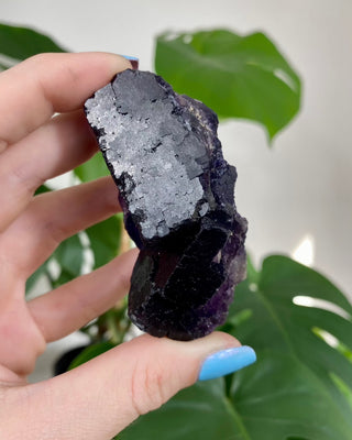 Múzquiz Fluorite from Esperanza Mine, Múzquiz, Mexico from Curious Muse Crystals Tagged with Crystal healing, fluorite, genuine crystal, hide-notify-btn, muzquiz fluorite, natural mineral, purple, raw mineral, reiki crystal, uv reactive