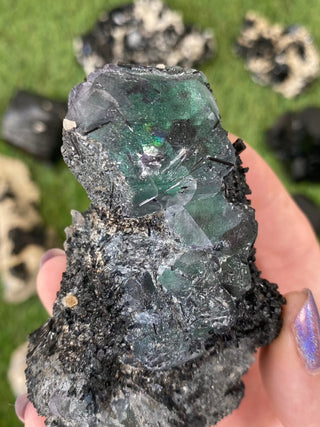 Erongo Fluorite with Tourmaline - High Grade from Curious Muse Crystals Tagged with black, erongo, fine mineral, fluorite, green, hide-notify-btn, namibia, raw, tourmaline