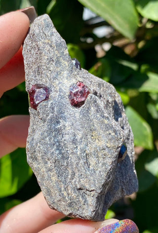 Alaskan Garnets in Mica Schist | Small | 4 Garnets from Curious Muse Crystals Tagged with alaska, garnet, kundalini, loyalty, mica, mica schist, natural garnet, protection, raw mineral, red, red garnet, willpower