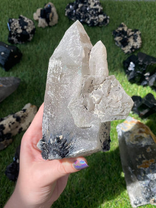 Quartz with Tourmaline from Madagascar - High Grade Collector Mineral from Curious Muse Crystals for 222. Tagged with black, clear, clear quartz, crystal energy, fine mineral, hide-notify-btn, inclusion quartz, Madagascar, quartz, reiki healing, tourmaline