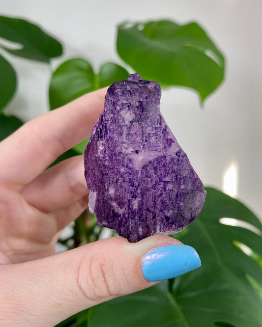 Múzquiz Fluorite from Esperanza Mine, Mexico from Curious Muse Crystals for 25.00. Tagged with fluorescence, fluorite, hide-notify-btn, mexico, muzquiz fluorite, purple, raw crystal, uv reactive