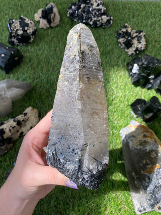Quartz with Tourmaline from Madagascar - High Grade Collector Mineral from Curious Muse Crystals for 165. Tagged with black, clear, clear quartz, crystal energy, fine mineral, hide-notify-btn, inclusion quartz, Madagascar, quartz, reiki healing, tourmaline