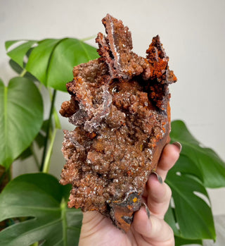 Calcite over Goethite and Limonite | Santa Eulalia, Mexico | G1 from Curious Muse Crystals for 45. Tagged with black, brown, calcite, crystal energy, goethite, hide-notify-btn, limonite, mexico, red, reiki healing, santa eulalia, yellow