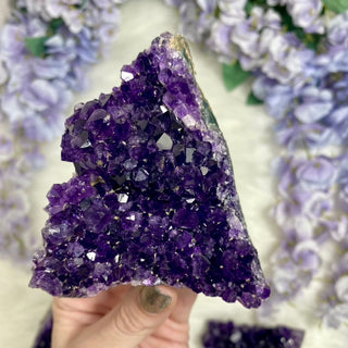 Amethyst Cut Base Geode | Uruguay from Curious Muse Crystals Tagged with amethyst, amethyst cluster, geode, home decor stone, Pendant, purple, raw mineral, uruguay