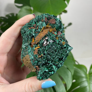 Velvet Malachite Cluster | Fibrous Green Copper Based Crystal from Curious Muse Crystals for 44. Tagged with Copper Stone, Crystal Healing, Dark Green Stone, Genuine Crystal, green, Hearth Chakra, hide-notify-btn, Malachite, Manifestation, Mineral Collection, Natural Mineral, Prosperity Wealth, Raw Mineral, Reiki Healing