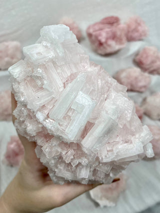 Pink Halite from Owen’s Lake, California from Curious Muse Crystals Tagged with California, halite, hide-notify-btn, Owen's Lake, pink, pink halite, raw mineral, salt, salt crystal, USA