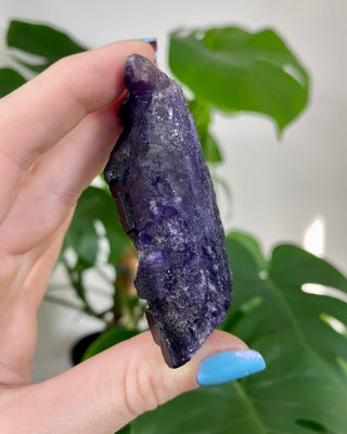 Múzquiz Fluorite from the Esperanza Mine, Mexico from Curious Muse Crystals for 52.00. Tagged with fluorescence, fluorite, hide-notify-btn, mexico, muzquiz fluorite, purple, raw crystal, spiritual development, uv reactive