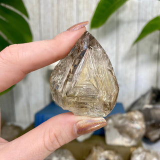 Fenster Quartz from Mexico | Self-Discovery from Curious Muse Crystals for 38.00. Tagged with elestial, enhydro, fenster, fluid inclusion, hide-notify-btn, mexico