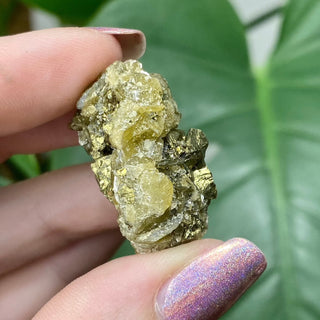 Siderite with Chalcopyrite from Kaiwu Mine, China from Curious Muse Crystals for 26. Tagged with brown, chalcopyrite, hide-notify-btn, raw mineral, siderite, yellow