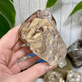 Fenster Quartz from Mexico - Self-Discovery from Curious Muse Crystals Tagged with clear, elestial, enhydro, fenster quartz, fluid inclusion, hide-notify-btn, mexico, quartz, yellow