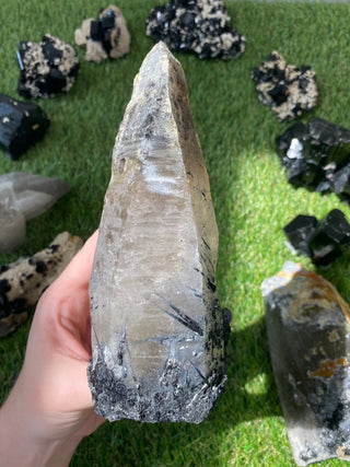 Quartz with Tourmaline from Madagascar - High Grade Collector Mineral from Curious Muse Crystals for 165. Tagged with black, clear, clear quartz, crystal energy, fine mineral, hide-notify-btn, inclusion quartz, Madagascar, quartz, reiki healing, tourmaline