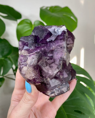 Múzquiz Fluorite with Unique Phantoms from Muzquiz, Mexico from Curious Muse Crystals for 346.00. Tagged with fluorescence, fluorite, hide-notify-btn, mexico, muzquiz fluorite, purple, raw crystal, uv reactive