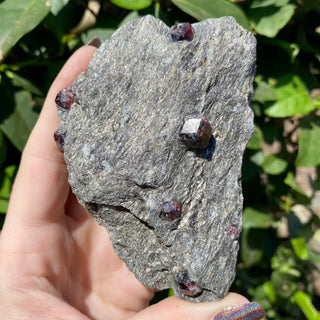 Alaskan Garnets in Mica Schist | Medium Sheet from Curious Muse Crystals Tagged with alaska, garnet, kundalini, loyalty, mica, mica schist, natural garnet, protection, raw mineral, red, red garnet, willpower