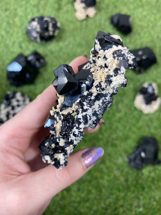 Erongo Black Tourmaline Raw Cluster - High Grade from Curious Muse Crystals Tagged with black, Erongo, fine mineral, hide-notify-btn, Namibia, raw, tourmaline
