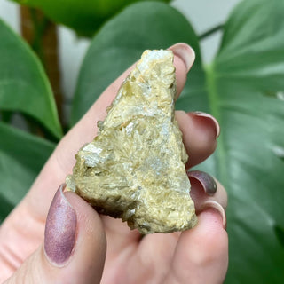 Siderite with Chalcopyrite from Kaiwu Mine, China from Curious Muse Crystals for 28.00. Tagged with chalcopyrite, hide-notify-btn, raw mineral, siderite