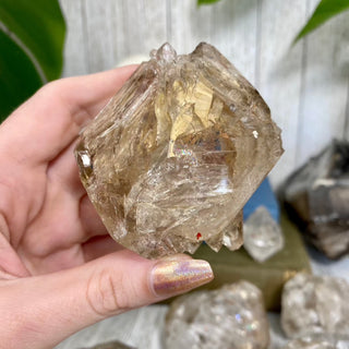 Elestial Fenster Quartz from Mexico | Self-Discovery from Curious Muse Crystals Tagged with clear, double terminated, elestial, enhydro, fenster, hide-notify-btn, mexico, quartz, yellow