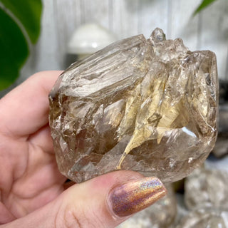 Elestial Fenster Quartz from Mexico | Self-Discovery from Curious Muse Crystals Tagged with clear, double terminated, elestial, enhydro, fenster, hide-notify-btn, mexico, quartz, yellow