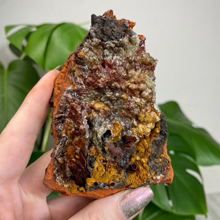 Calcite over Goethite and Limonite | Santa Eulalia, Mexico | G2 from Curious Muse Crystals Tagged with black, brown, calcite, crystal energy, goethite, hide-notify-btn, limonite, mexico, red, reiki healing, santa eulalia, yellow