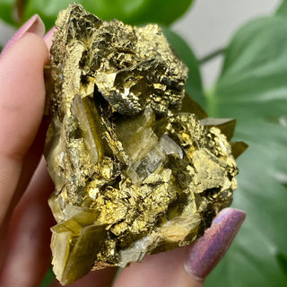 Siderite with Chalcopyrite from Kaiwu Mine, China from Curious Muse Crystals Tagged with brown, chalcopyrite, hide-notify-btn, raw mineral, siderite, yellow