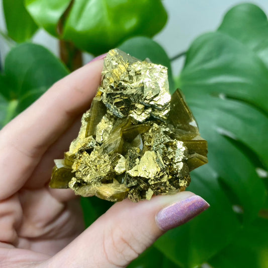 Siderite with Chalcopyrite from Kaiwu Mine, China from Curious Muse Crystals for 65.00. Tagged with chalcopyrite, hide-notify-btn, raw mineral, siderite