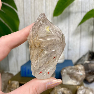 Fenster Quartz from Mexico | Self-Discovery from Curious Muse Crystals Tagged with clear, elestial, enhydro, fenster quartz, fluid inclusion, hide-notify-btn, mexico, quartz, yellow