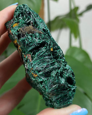 Velvet Malachite Cluster | Fibrous Green Copper Based Crystal from Curious Muse Crystals Tagged with Copper Stone, Crystal Healing, Dark Green Stone, Genuine Crystal, green, Hearth Chakra, hide-notify-btn, Malachite, Manifestation, Mineral Collection, Natural Mineral, Prosperity Wealth, Raw Mineral, Reiki Healing