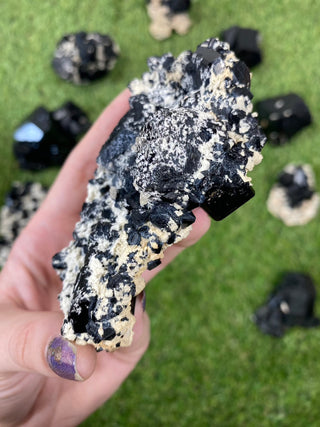 Erongo Black Tourmaline Raw Cluster - High Grade from Curious Muse Crystals Tagged with black, Erongo, fine mineral, hide-notify-btn, Namibia, raw, tourmaline
