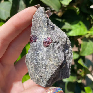 Alaskan Garnets in Mica Schist | Small | 4 Garnets from Curious Muse Crystals Tagged with alaska, garnet, kundalini, loyalty, mica, mica schist, natural garnet, protection, raw mineral, red, red garnet, willpower