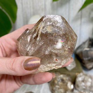 Fenster Quartz from Mexico - Self-Discovery from Curious Muse Crystals Tagged with clear, elestial, enhydro, fenster quartz, fluid inclusion, hide-notify-btn, mexico, quartz, yellow