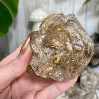 Elestial Fenster Quartz from Mexico | Self-Discovery from Curious Muse Crystals Tagged with clear, double terminated, elestial, enhydro, fenster, hide-notify-btn, mexico, quartz, yellow