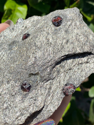 Alaskan Garnets in Mica Schist | Medium Standing from Curious Muse Crystals Tagged with alaska, garnet, kundalini, loyalty, mica, mica schist, natural garnet, protection, raw mineral, red, red garnet, willpower