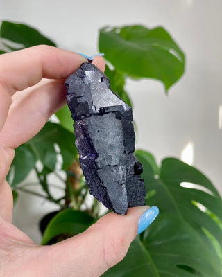 Múzquiz Fluorite from the Esperanza Mine, Mexico from Curious Muse Crystals Tagged with fluorescence, fluorite, hide-notify-btn, mexico, muzquiz fluorite, purple, raw crystal, spiritual development, uv reactive