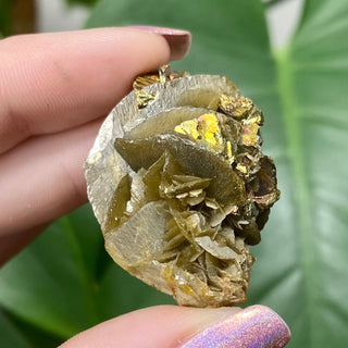 Siderite with Chalcopyrite from Kaiwu Mine, China from Curious Muse Crystals for 29. Tagged with brown, chalcopyrite, hide-notify-btn, raw mineral, siderite, yellow