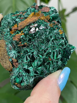 Velvet Malachite Cluster | Fibrous Green Copper Based Crystal from Curious Muse Crystals Tagged with Copper Stone, Crystal Healing, Dark Green Stone, Genuine Crystal, green, Hearth Chakra, hide-notify-btn, Malachite, Manifestation, Mineral Collection, Natural Mineral, Prosperity Wealth, Raw Mineral, Reiki Healing