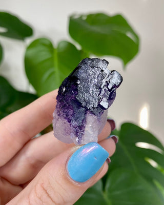 Múzquiz Fluorite from Esperanza, Mexico from Curious Muse Crystals Tagged with fluorescence, fluorite, hide-notify-btn, mexico, muzquiz fluorite, purple, raw crystal, uv reactive