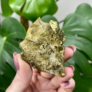 Siderite with Chalcopyrite from Kaiwu Mine, China from Curious Muse Crystals for 65. Tagged with brown, chalcopyrite, hide-notify-btn, raw mineral, siderite, yellow
