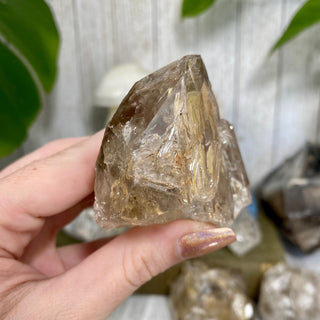 Fenster Quartz from Mexico - Self-Discovery from Curious Muse Crystals Tagged with clear, elestial, enhydro, fenster quartz, fluid inclusion, hide-notify-btn, mexico, quartz, yellow