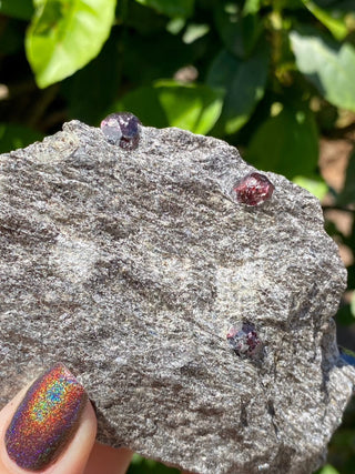 Alaskan Garnets in Mica Schist | Medium Standing from Curious Muse Crystals Tagged with alaska, garnet, kundalini, loyalty, mica, mica schist, natural garnet, protection, raw mineral, red, red garnet, willpower