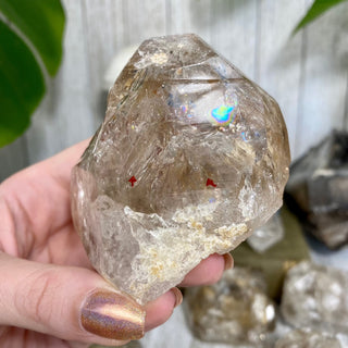 Fenster Quartz from Mexico - Self-Discovery from Curious Muse Crystals Tagged with clear, elestial, enhydro, fenster quartz, fluid inclusion, hide-notify-btn, mexico, quartz, yellow